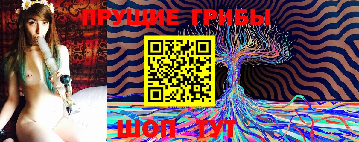 Псилоцибиновые грибы Cubensis  Галлюциногенные грибы Magic Shrooms  Вход с VPN  закладка  Приморско-Ахтарск 